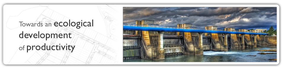 Towards an ecological development of productivity