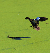 Abakal elabora estudios de inundaci&oacute;n por la rotura de una presa o de una balsa de contenci&oacute;n.